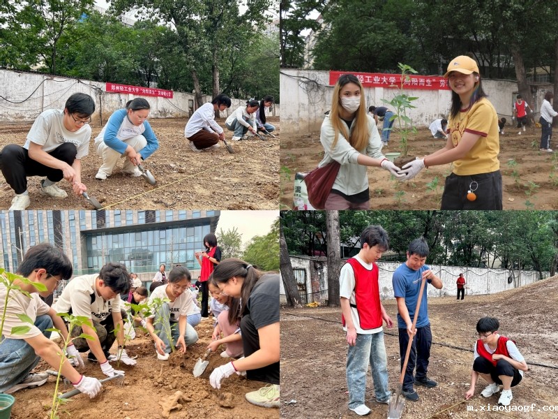 学校成功举办第一期“向阳而生”...