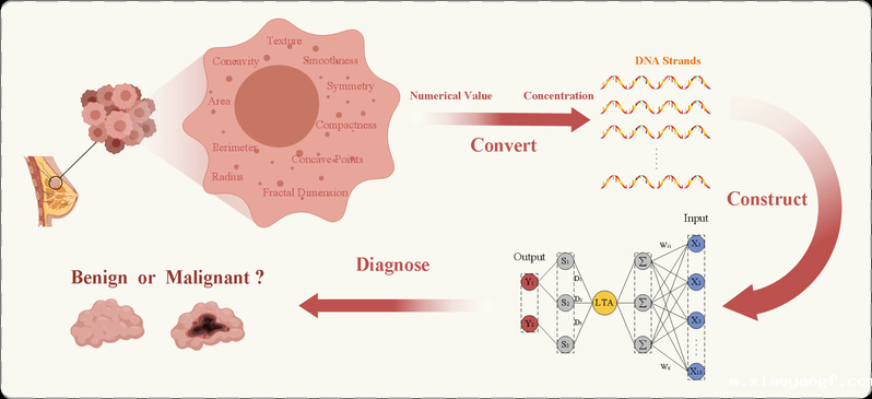 星空平台下载王延峰教授、黄...
